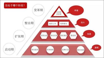 數(shù)字化賦能 軟件開發(fā)如何助力連鎖品牌標準化管理效率提升