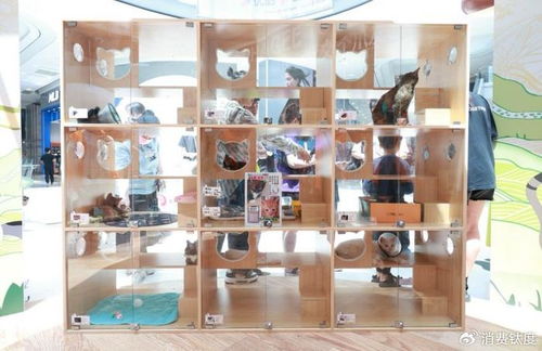 霸王茶姬 以寵粉文化用品，打造情感鏈接新標(biāo)桿